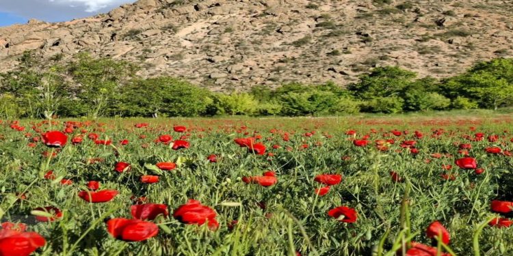 سفر بهاری به ماسوله کویر ایران در قاب دوربین شهروندخبرنگار